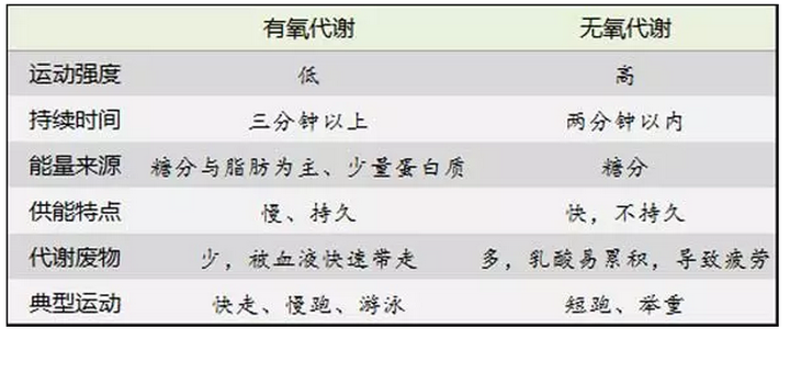 冇氧运动_运动吸氧_南召有氧运动