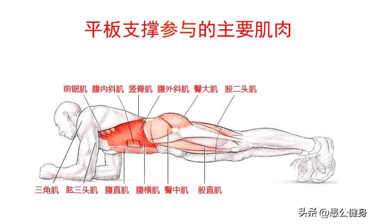 运动的性质_运动性质包括什么_运动的性质由什么来决定