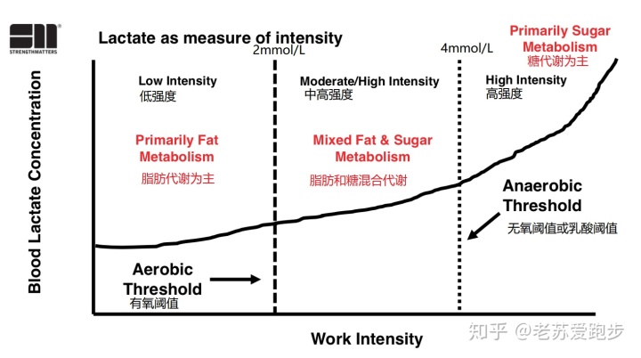 有氧运动适合多少岁_冇氧运动_运动氧适合有氧运动吗