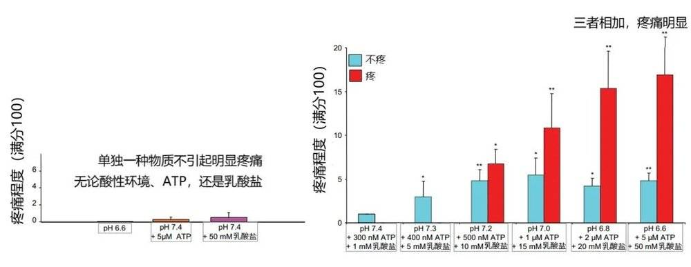 健身房里戴帽子_帽子健身_健身房运动帽男